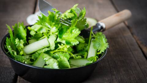 5 delicious recipes using coriander leaves you must try 5 delicious recipes using coriander leaves you must try
