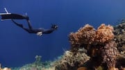 Why diving enthusiasts are drawn to the Nile River 
