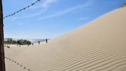 Seeking something offbeat? Explore Lithuania's top sand dunes
