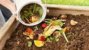 How to use kitchen scraps for gardening (and reduce costs)