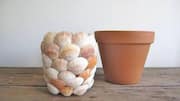 How to decorate handmade pots with shells 