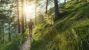 What exactly are sensory walks?