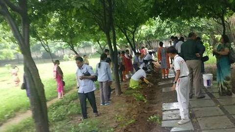 Delhi government to plant 32.5 lakh trees in 2018 Delhi government to plant 32.5 lakh trees in 2018