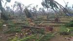 Agriculture crops in 1,39,844 hectares damaged in Srikakulam district
