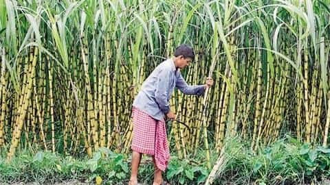 Opposition stages walkout from UP Assembly over sugarcane dues issue Opposition stages walkout from UP Assembly over sugarcane dues issue