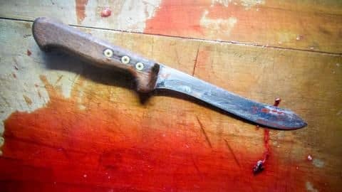 Gurugram: Wife insulted man regularly, he stabs her 40 times Gurugram: Wife insulted man regularly, he stabs her 40 times