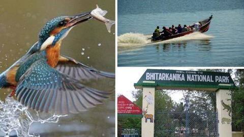 Attention Nature-Lovers! You can now visit this uninhabited Odisha island Attention Nature-Lovers! You can now visit this uninhabited Odisha island