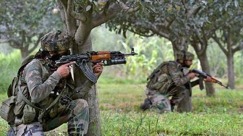 Two maoists killed in encounter with police in Andhra Pradesh Two maoists killed in encounter with police in Andhra Pradesh