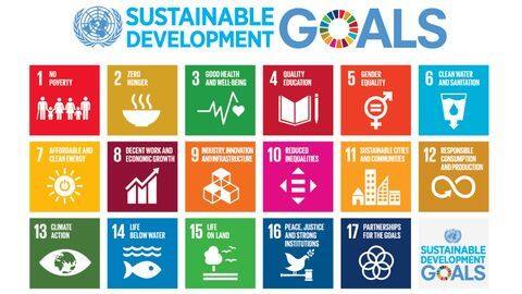 India to partner with developing countries to achieve SDGs India to partner with developing countries to achieve SDGs