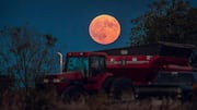 Harvest Moon rises on October 6: What makes it special?