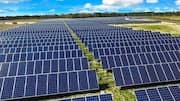 Why UK shut down its largest community solar farm