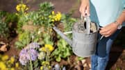 Gardening can do wonders for your mental clarity