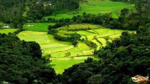 Coorg Coorg