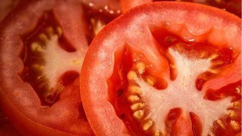 Tomato Tomato
