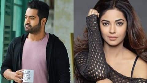 Meera Chopra abused by Jr. NTR fans, she hits back Meera Chopra abused by Jr. NTR fans, she hits back