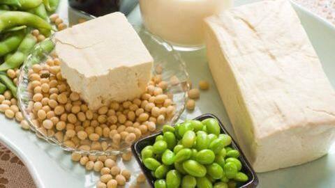 Soy: A wholesome food source for vegetarians Soy: A wholesome food source for vegetarians