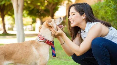 Love animals? Here are six best jobs for you Love animals? Here are six best jobs for you