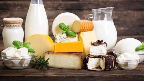 Dairy: How about some milk, cheese, paneer and yogurt? Dairy: How about some milk, cheese, paneer and yogurt?