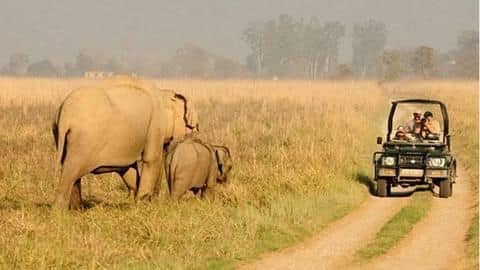 Jim Corbett National Park, Uttarakhand Jim Corbett National Park, Uttarakhand