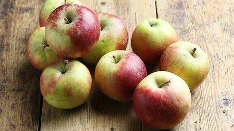 Apples can help improve your bone health Apples can help improve your bone health