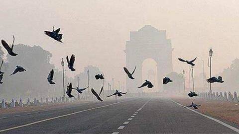 Delhi: Clear skies make this February one of the warmest Delhi: Clear skies make this February one of the warmest