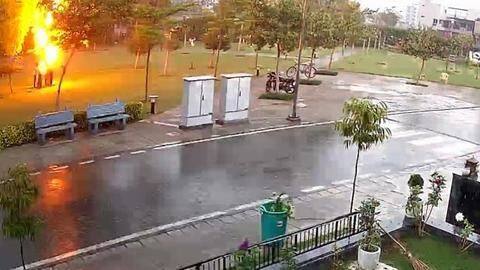 Gurugram: 1 killed, 3 injured as lightning bolt strikes tree Gurugram: 1 killed, 3 injured as lightning bolt strikes tree
