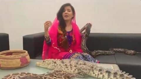Pakistani singer threatens PM Modi with snakes, faces jail Pakistani singer threatens PM Modi with snakes, faces jail