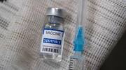 COVID-19: Sputnik V vaccine to arrive in India this month