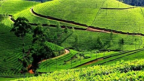 Munnar, Kerala Munnar, Kerala