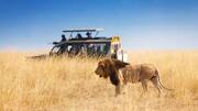 Five best National Parks in Africa: Details here