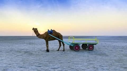 Rann of Kutch Rann of Kutch