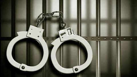 Mumbai: 68-year-old arrested for allegedly raping street dog Mumbai: 68-year-old arrested for allegedly raping street dog