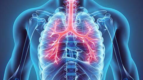 Follow these tips to keep your lungs healthy Follow these tips to keep your lungs healthy