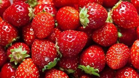 Do not consume fruits if you are a diabetic