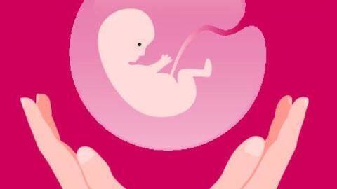 #HealthBytes: General precautions for a healthy abortion #HealthBytes: General precautions for a healthy abortion