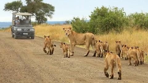 South Africa: Kruger National Park South Africa: Kruger National Park
