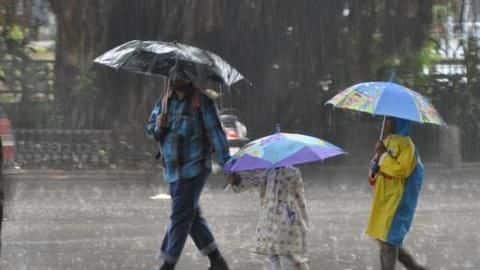 Five health precautions to take during the rainy season Five health precautions to take during the rainy season