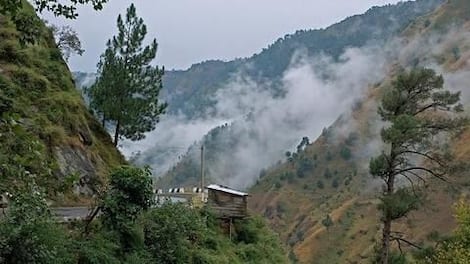 Kasauli