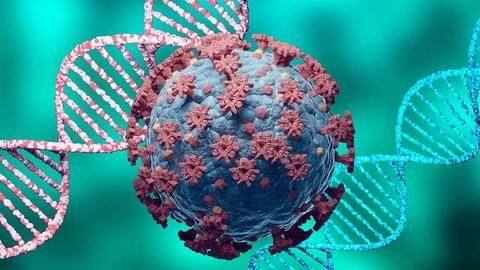 Uttar Pradesh reports 2 cases of Kappa COVID-19 variant Uttar Pradesh reports 2 cases of Kappa COVID-19 variant