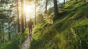 Slovenia's magical forest hikes: A list