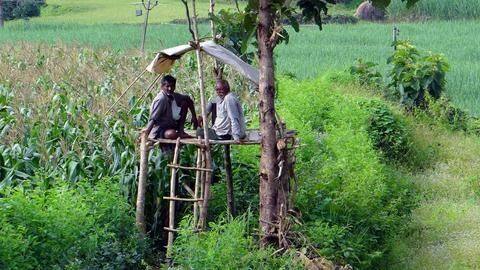 Maharashtra's Jalyukta Shivar scheme relieves drought in Marathwada Maharashtra's Jalyukta Shivar scheme relieves drought in Marathwada