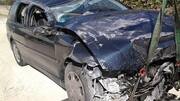 Andhra Minister's son dies in rain-related accident