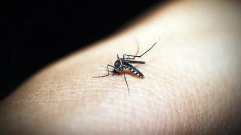 Did the government stay mum on Zika in India? Did the government stay mum on Zika in India?