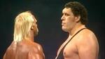 Hulkamania stopped in its tracks by a giant