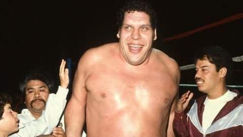 Five facts discovered via autobiographies of WWE superstars Five facts discovered via autobiographies of WWE superstars