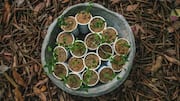 Make your own planters from recycled items