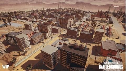 The asphalt jungles of tough survival The asphalt jungles of tough survival