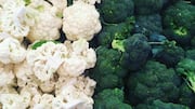 Broccoli v/s cauliflower: Which is more beneficial for your health?