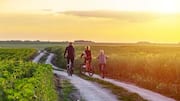How to explore the Dutch countryside