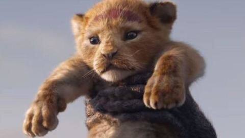 In the jungle, the mighty jungle, the lion wakes tonight In the jungle, the mighty jungle, the lion wakes tonight